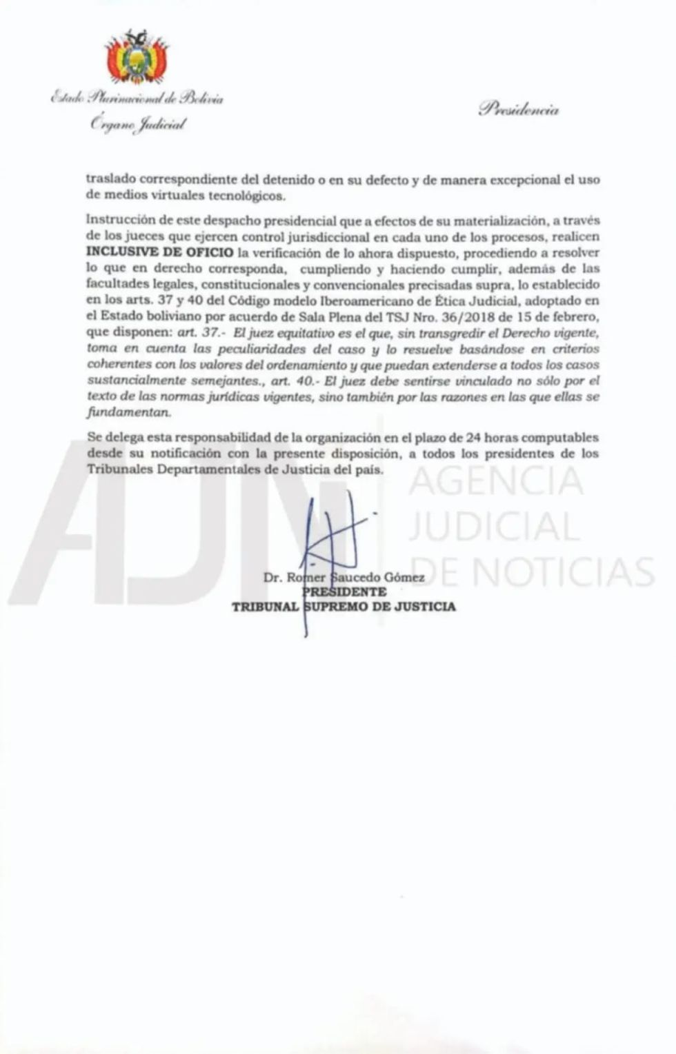 El TSJ instruye jornadas de verificación de detenciones preventivas en todo el país