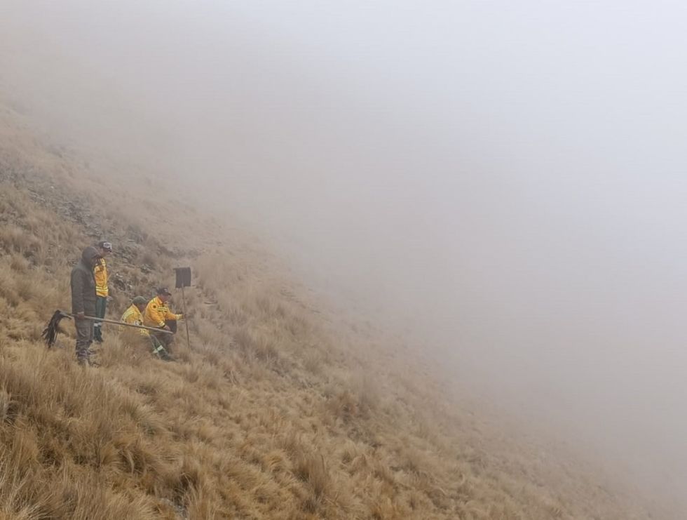 Tras incendio, guardaparques buscan proteger los nidales de los cóndores en Sama 