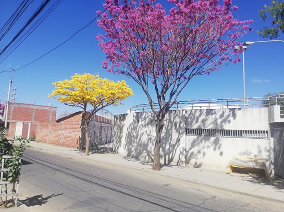 Cantares de Nostalgia