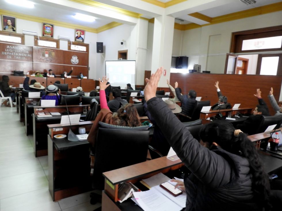 Tarija busca su propia ley electoral para  redefinir elección de asambleístas