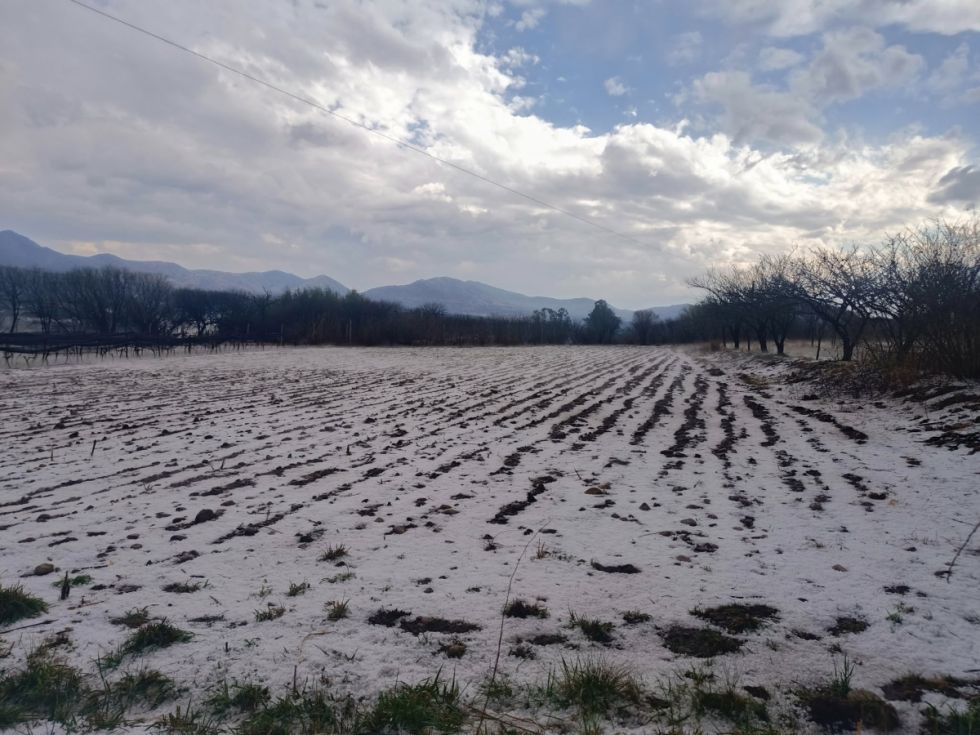 Comunidades presionan por ayuda  tras los desastres y reactivan pedido del seguro agrícola