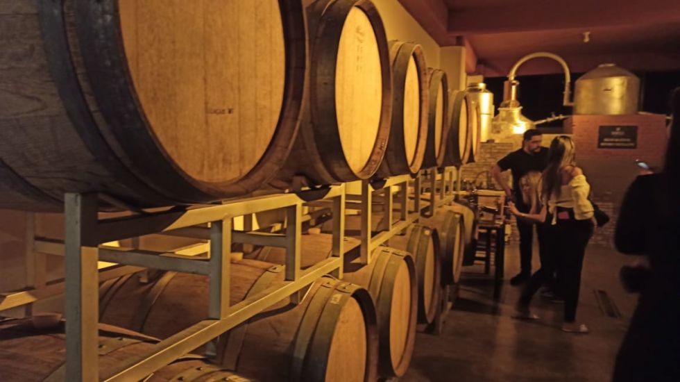 Vitícolas piden al Senado frenar ley que  cobra impuesto al vino y singani