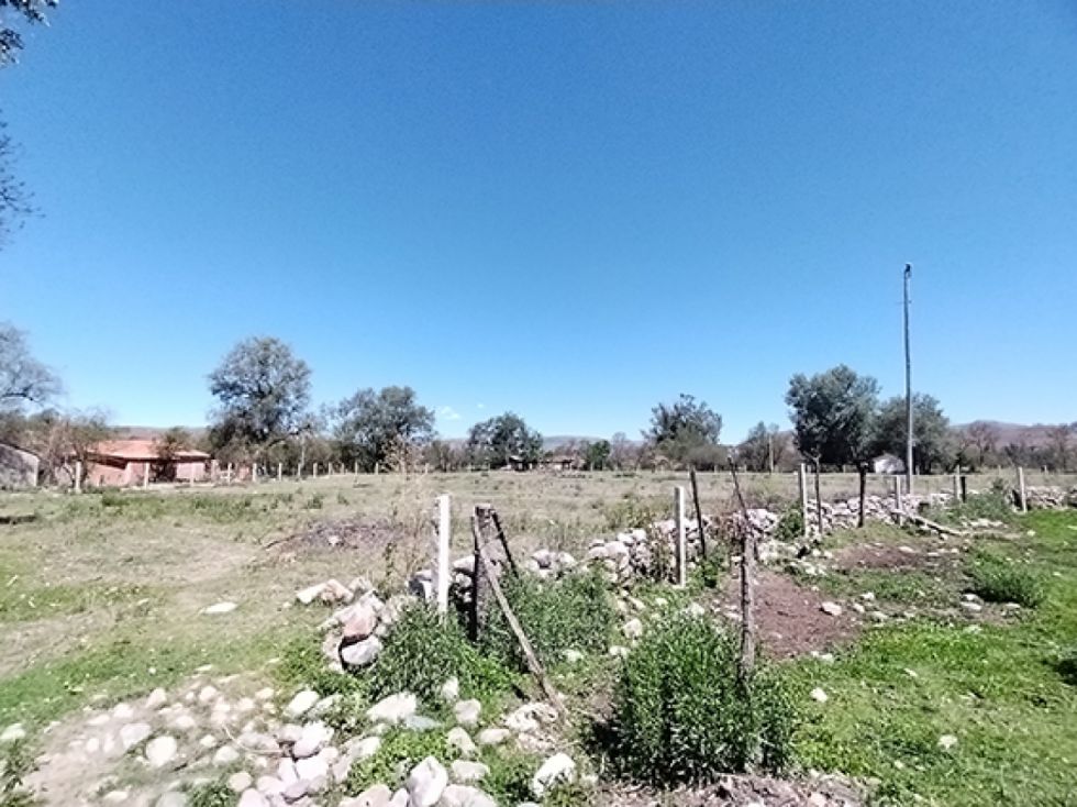 Curiosidades Históricas