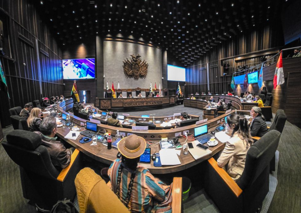 Senado sanciona la ley para designar a nuevos vocales del TSE y remite al Ejecutivo para su promulgación