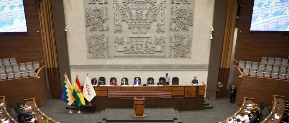 ALP, única instancia para la preselección de magistrados