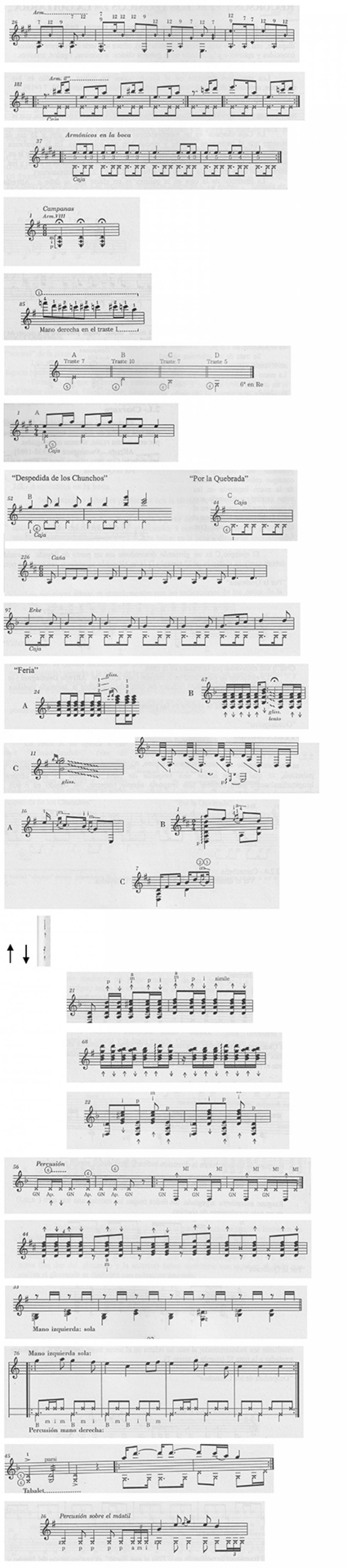 MÚSICA BOLIVIANA PARA GUITARRA