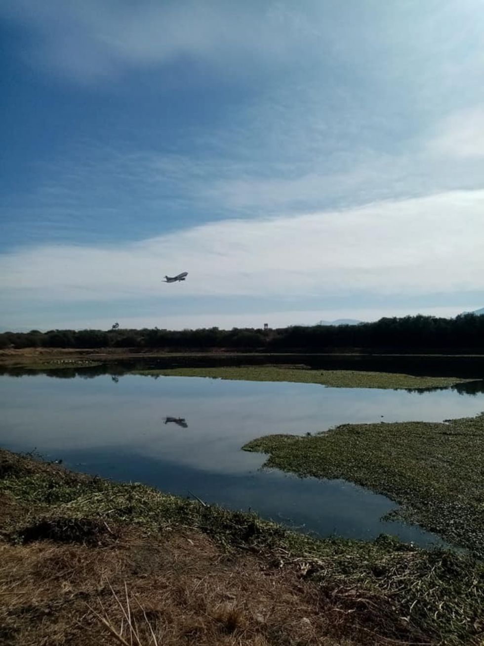 Malos olores y contaminación asfixian a los vecinos de San Luis