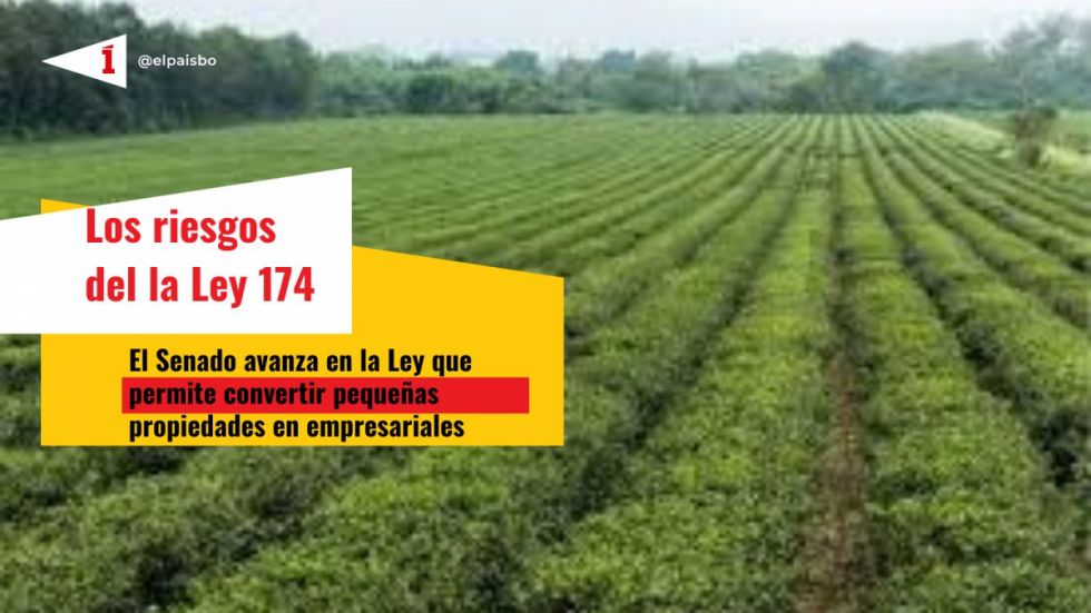 Advierten riesgos en ley que permite convertir pequeñas propiedades agrarias en medianas o empresariales