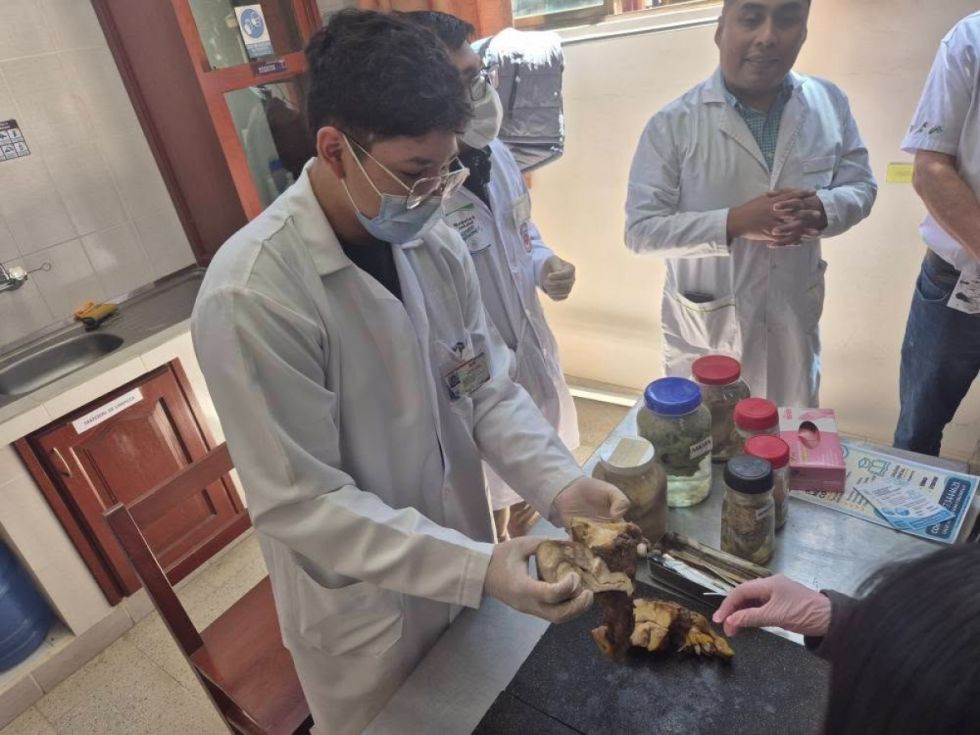 Disminuye la matriculación de estudiantes en la UAJMS 
