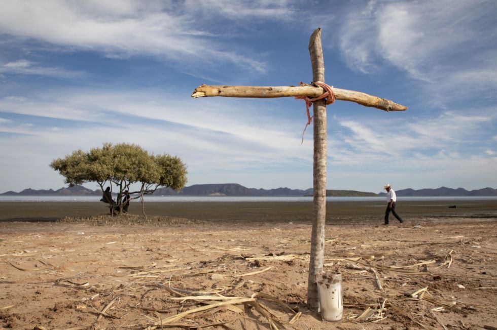 Yoremes contra el amoníaco: la batalla de Ohuira
