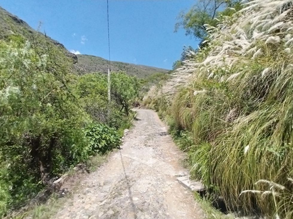 Paisaje