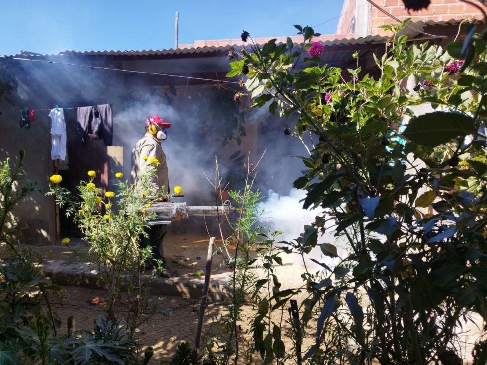 Tarija: Casos de chikungunya  encienden la alerta sanitaria