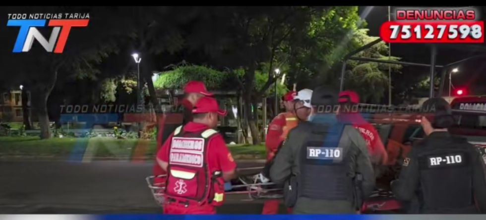 Tras discutir, una pareja se lanzó del puente San Martín