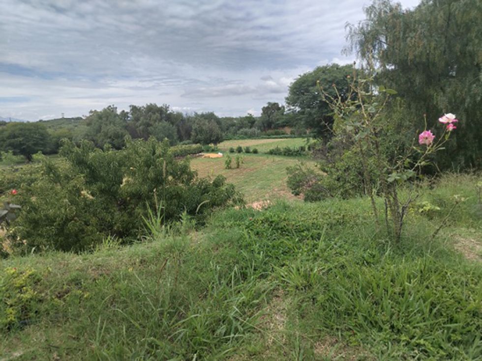 Paisajes de Santa Ana 