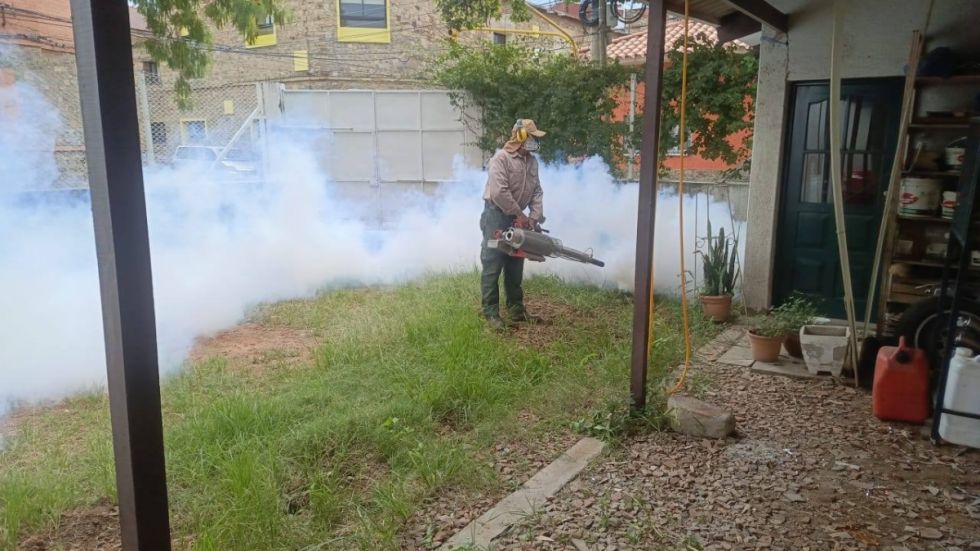 Bolivia y Argentina activan plan  contra enfermedades tropicales
