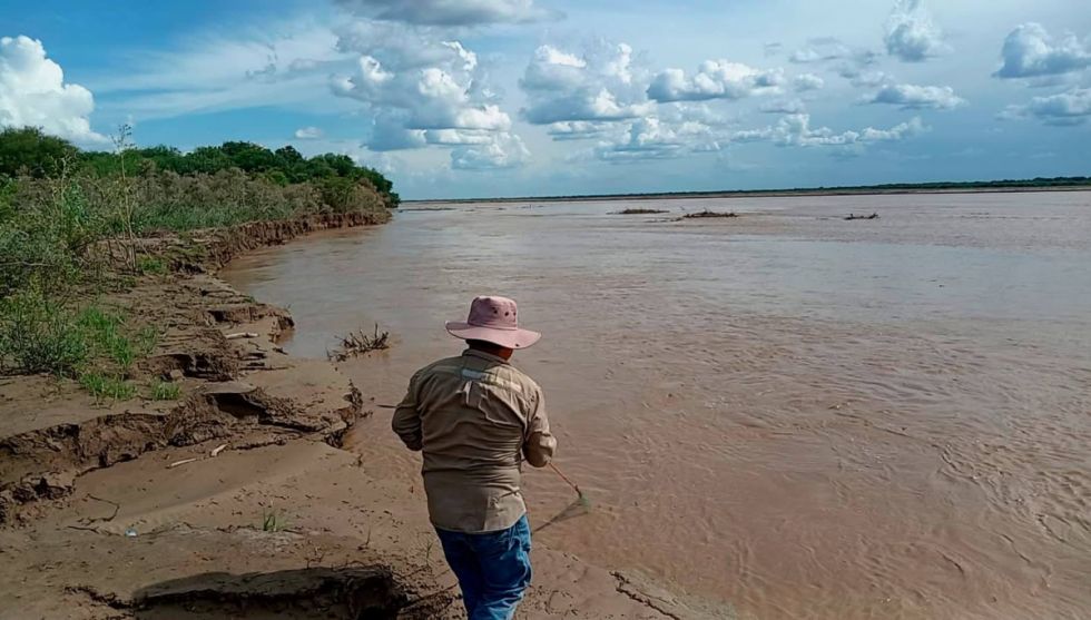 Pilcomayo: Monitorean el estado de los sábalos 