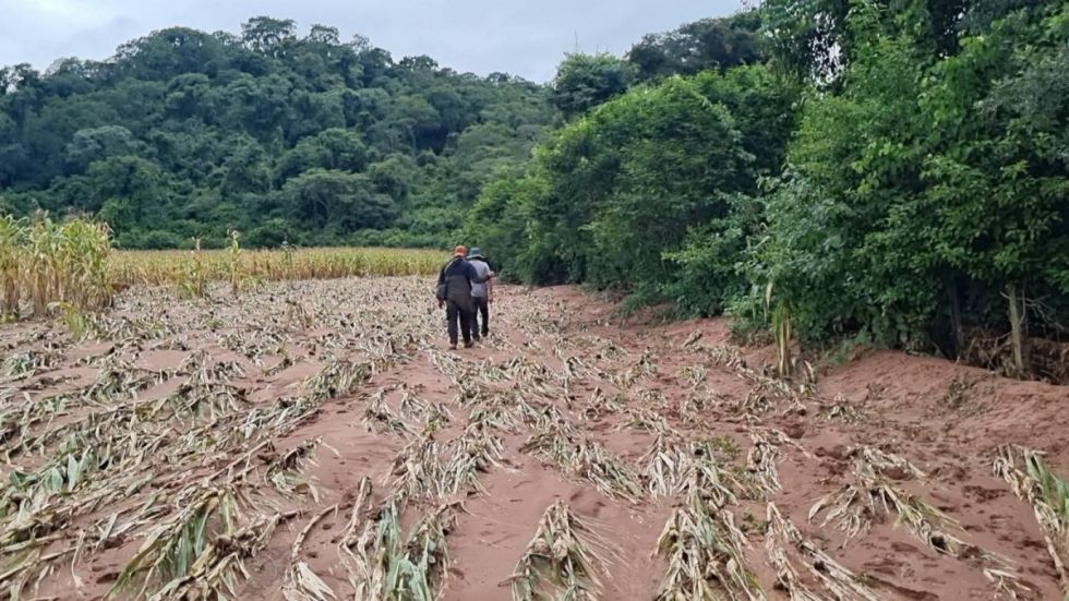 Entre Ríos: Lluvias dejan pérdidas  agrícolas y caminos cortados 