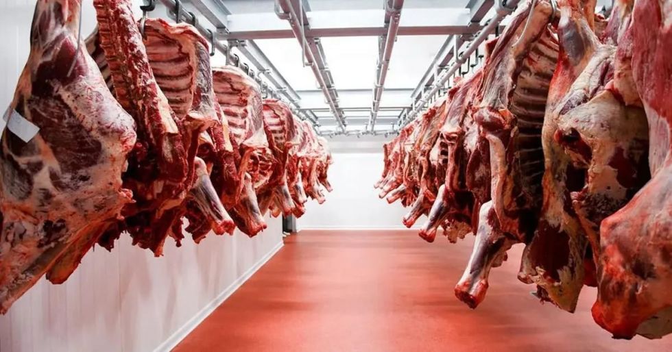 Carne más cara para los bolivianos, pero Bolivia negocia venderla a Chile