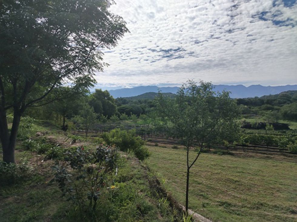 Vista panorámica del valle de Tarija