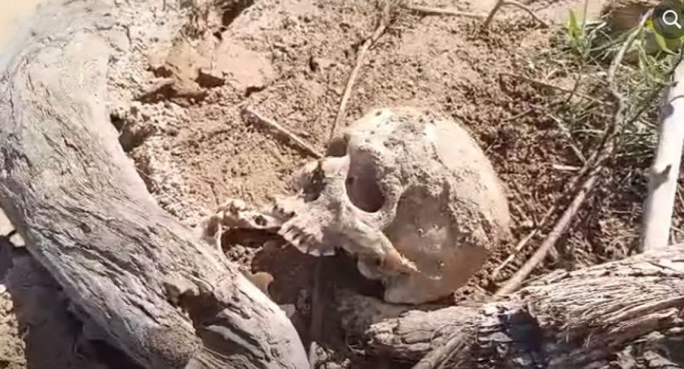 Villa Montes: Hallan restos óseos a orillas del río Pilcomayo