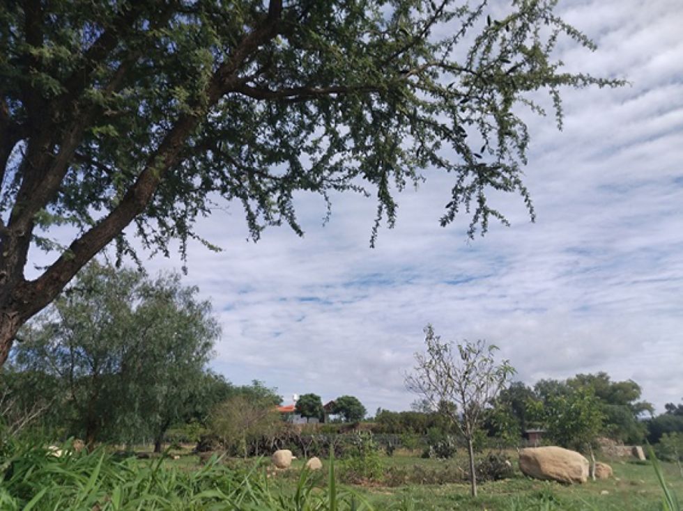 Fincas tarijeñas