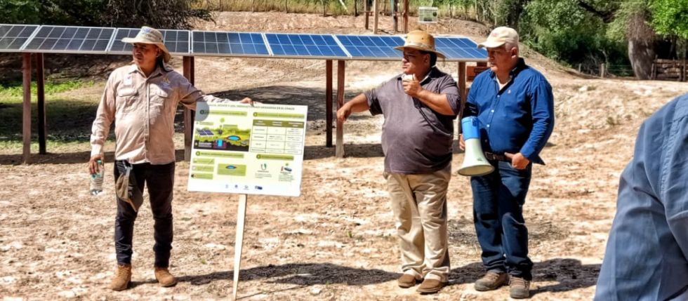 Innovación en el Chaco: Ganadería que regenera suelos y conserva el bosque