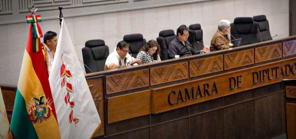 Diputados debaten del proyecto de ley que regula los Estados de excepción