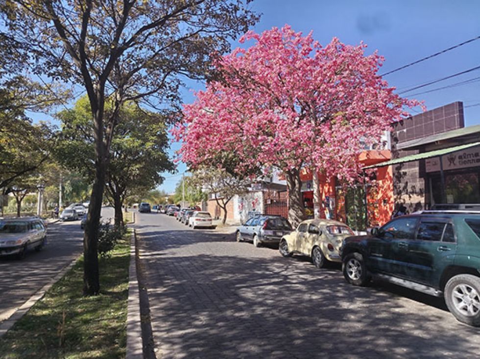 Los colores del otoño en Tarija 