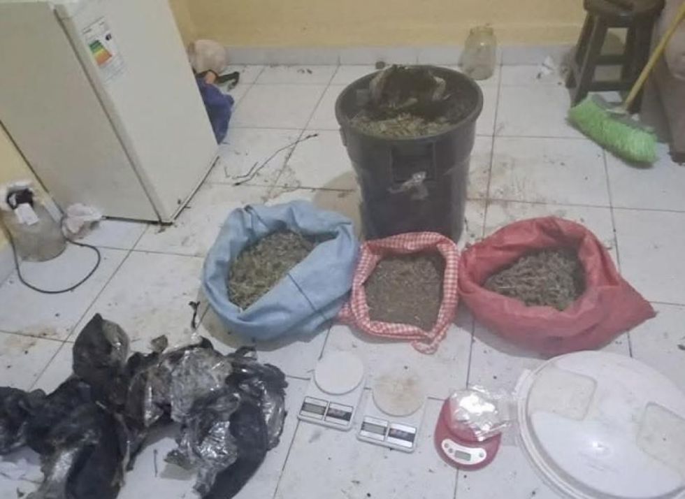 FELCN encuentra marihuana para microtráfico y animales en un inmueble