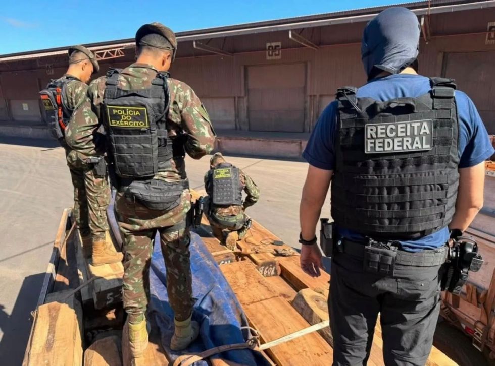 Brasil detecta 50 toneladas de cocaína en madera, procedía de Bolivia