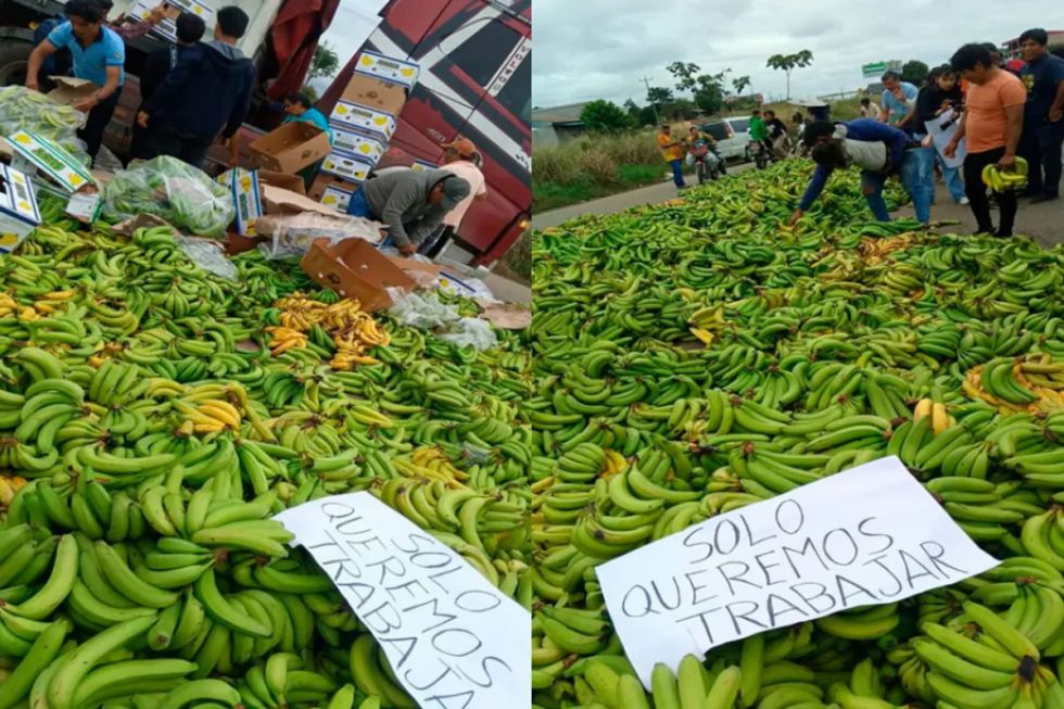 Trópico: Productores denuncian pérdidas millonarias