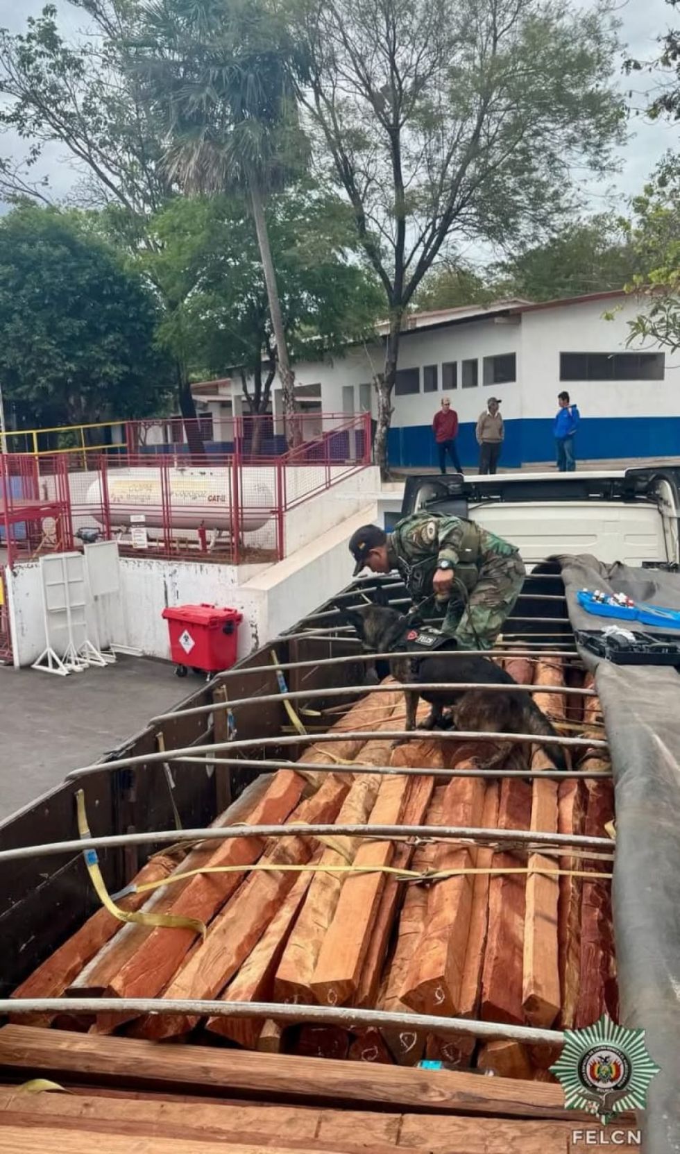 FELCN: Incautan madera que era transportada a Uruguay