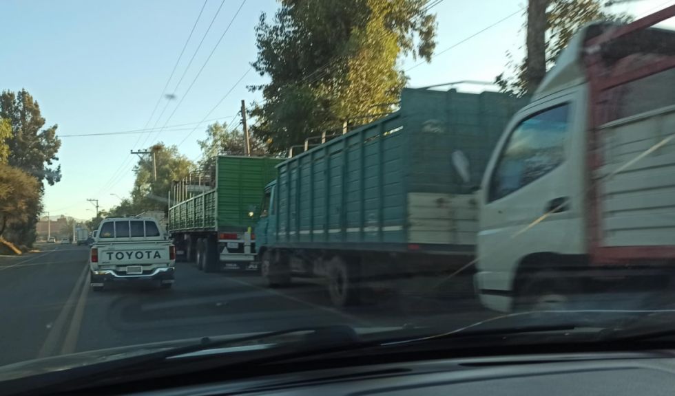 Gobierno mantiene costo de los carburantes, pero persisten las filas