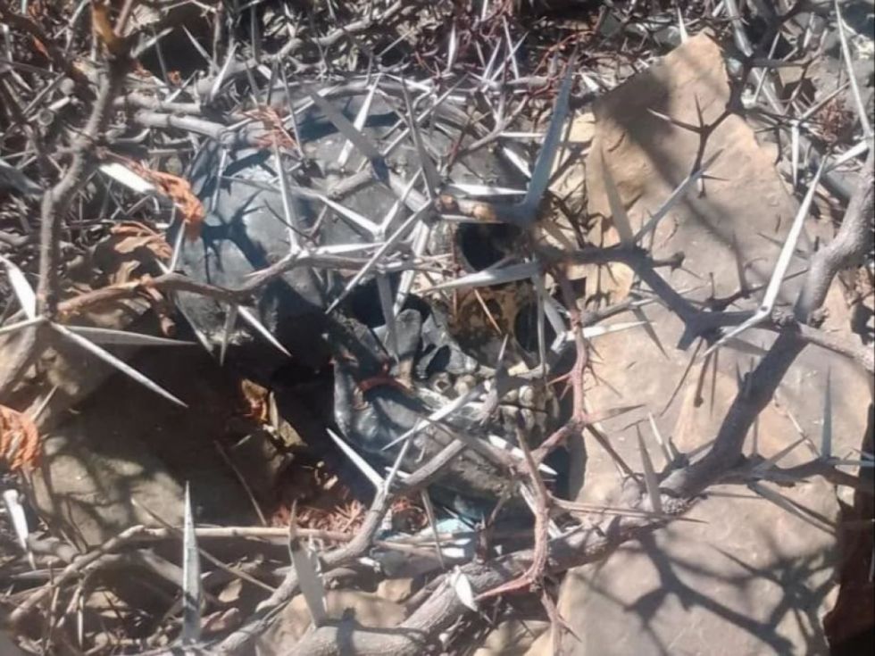Hallan un cráneo humano pintado de negro y rodeado de velas en Cochabamba