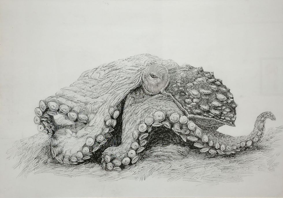 Animal en tinta, de Juan Antonio Álvarez