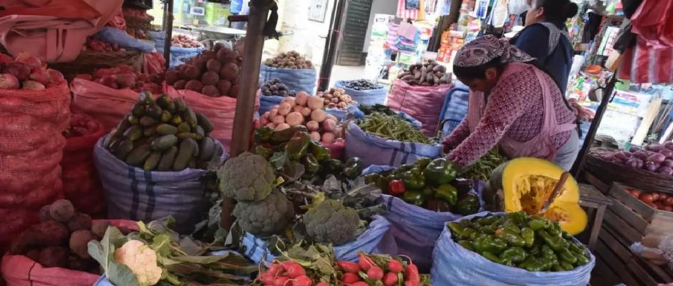 INE: Inflación acumulada llega a 4,82%