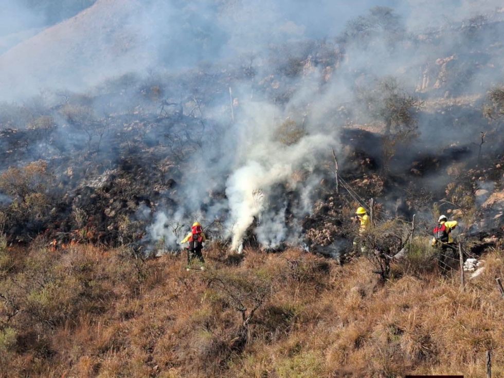Incendio en Erquis moviliza a los bomberos, advierten que avanza rápidamente 