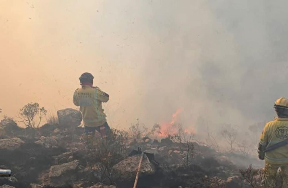 Incendio en Churquis consumió más de 100 hectáreas y puso en riesgo a Sama