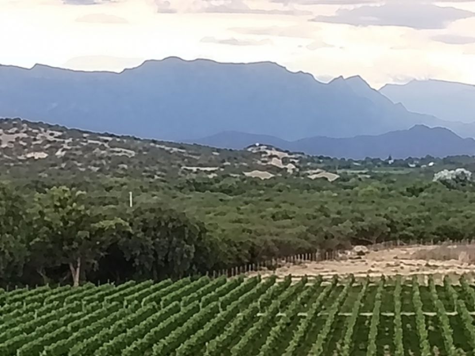 Santa Ana 