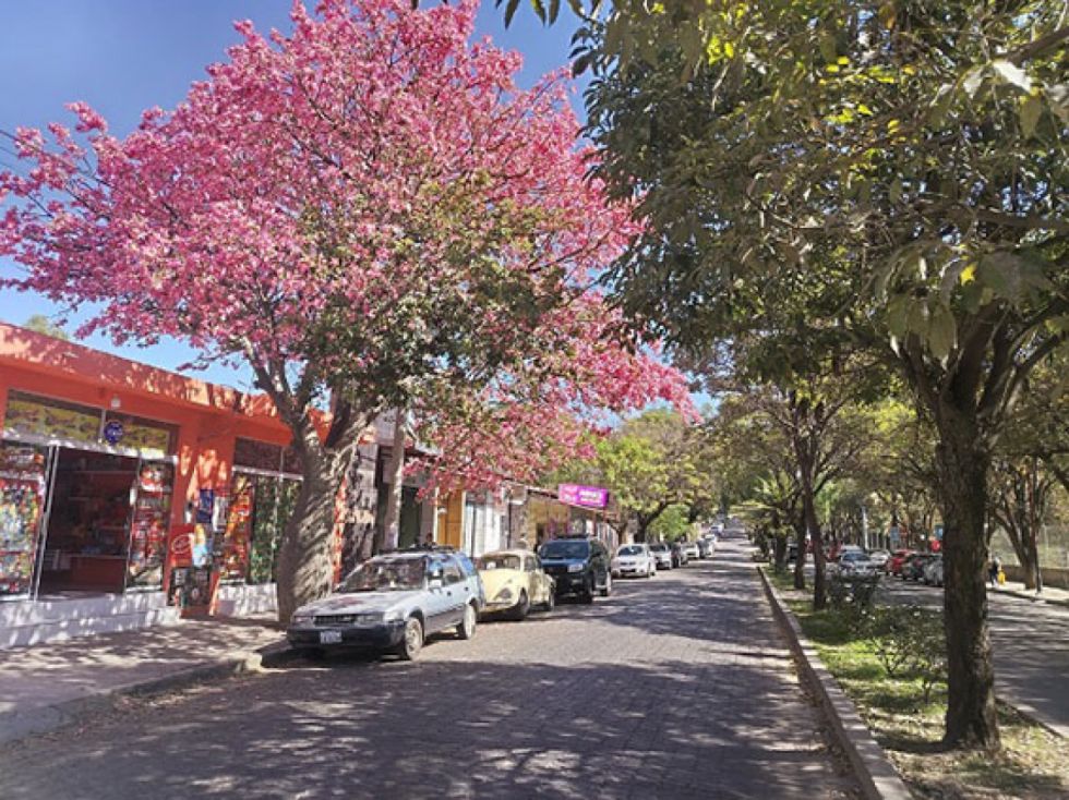 Calles de Tarija