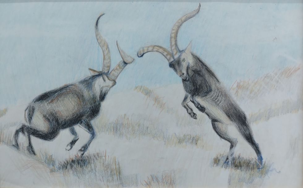 Obra de Facundo Matías Choque Catari