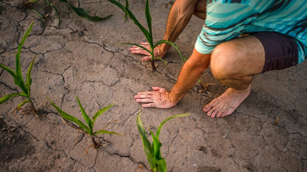 ONU alerta a América Latina por un El Niño severo