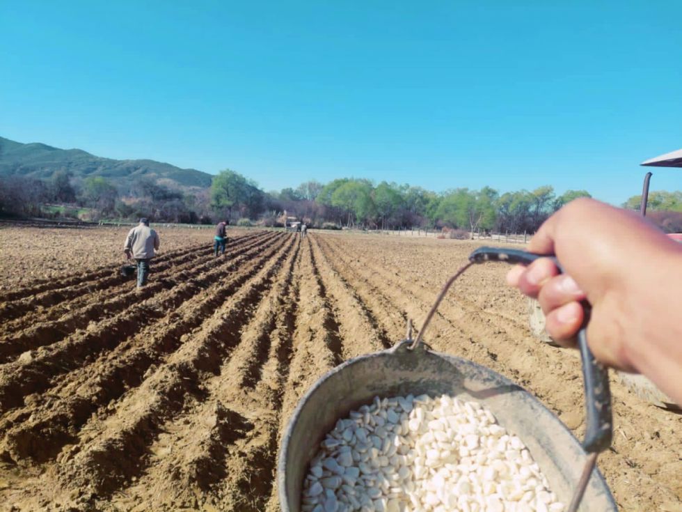 Cambio climático, la nueva  batalla del sector campesino
