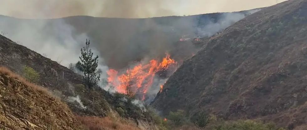 Viceministro Ávila: La gran mayoría de los incendios fueron provocados 
