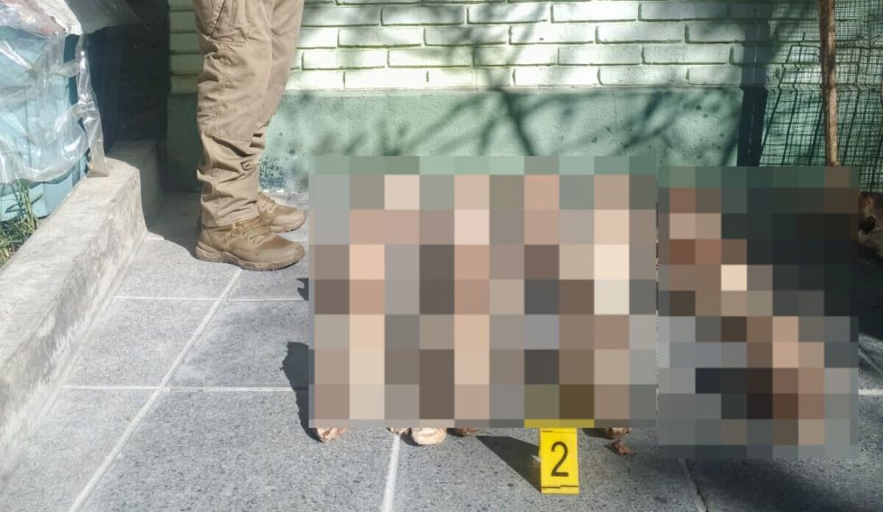 Investigan hallazgo de 25 cráneos de presuntos canes en un basurero de Villa San Antonio