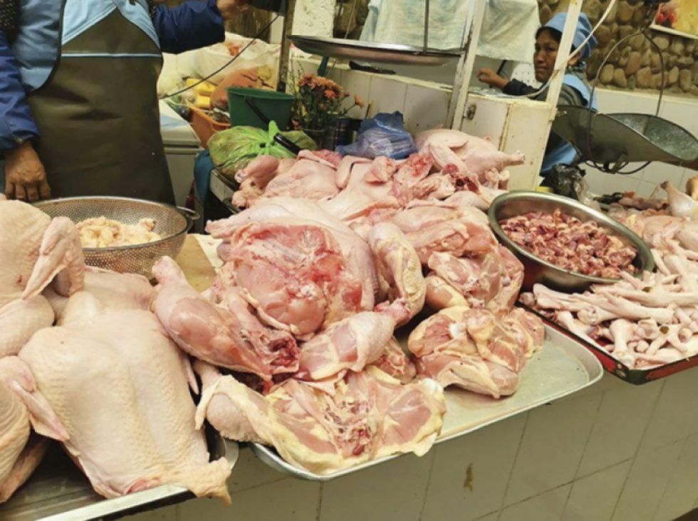 De Bs 16,50 a Bs 28,50: el fuerte incremento del precio del pollo en Tarija