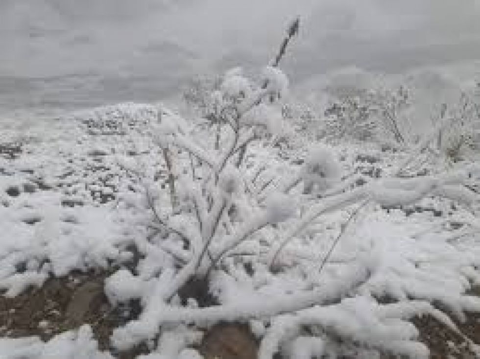 Alerta naranja por nieve en cinco departamentos incluye a Tarija