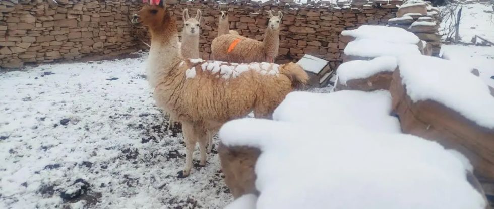 Una densa nevada golpeó a Colcha K