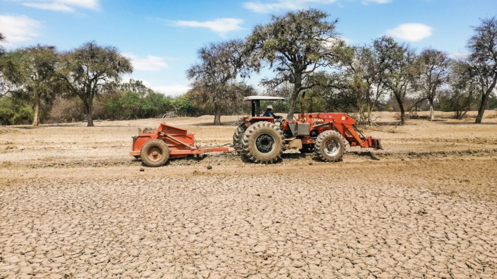 Riesgo de sequía extrema por El Niño inquieta a campesinos 
