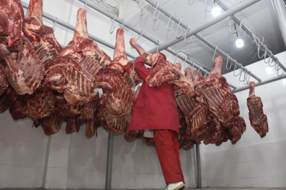 Venta de ganado a Santa Cruz pone en riesgo el abastecimiento de carne en Tarija